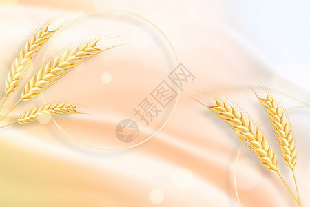 黑麦仁创意大气秋日麦穗背景设计图片