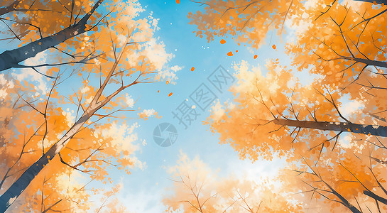 秋天枫叶背景秋日蔚蓝的天空插画