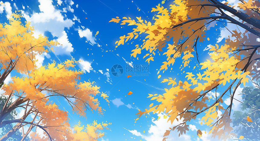 美丽的秋天蓝天落叶图片