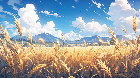 蓝天白云下即将丰收的麦子卡通风景背景图片