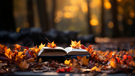 一堆落叶打开的书籍与落叶唯美风景插画