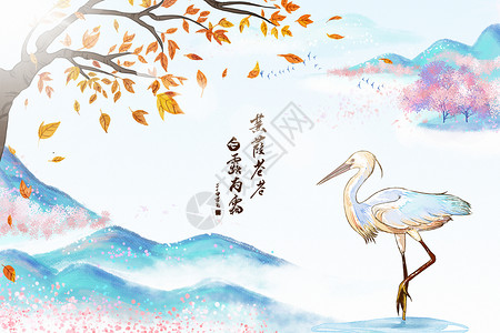 高清水鸟鹈鹕白露为霜设计图片