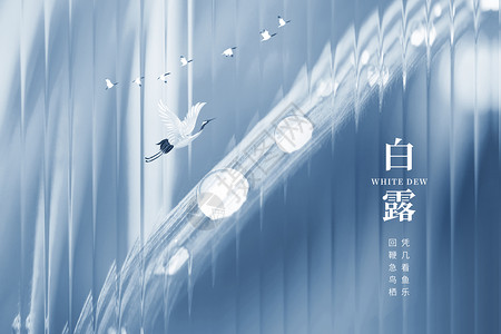 一行白鹭白露大气玻璃质感飞鹤水滴设计图片