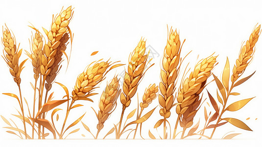 白色背景上一排卡通麦子图片