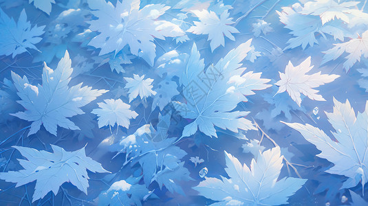 蓝色霜降节气秋天被冻住的蓝色卡通枫叶插画