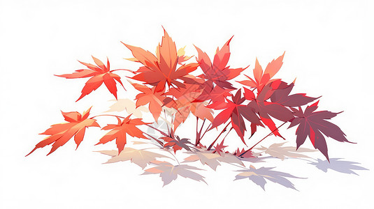 秋天深红色的卡通枫叶图片
