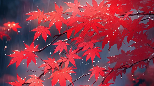 深秋红叶雨中美丽漂亮的卡通枫叶插画