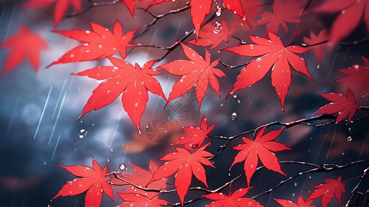 唯美的雨中卡通红色枫叶背景图片
