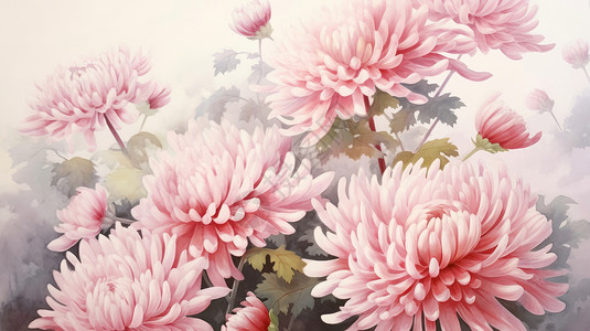 秋天盛开的粉色优雅的卡通菊花背景图片