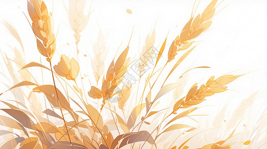 小清新金黄色的卡通麦子图片