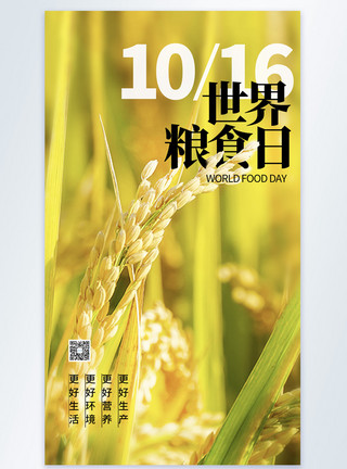丰收麦田世界粮食日摄影图海报模板