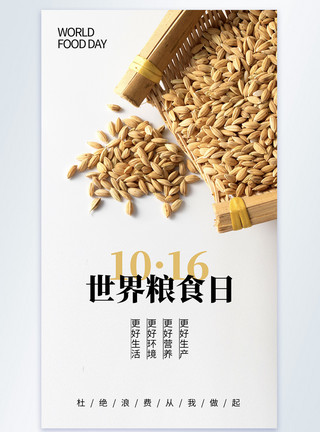 丰收水稻简约大气世界粮食日摄影图海报模板