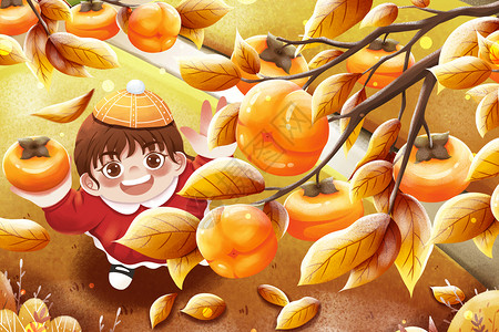 橘子树枝二十四节气霜降摘柿子女孩插画插画