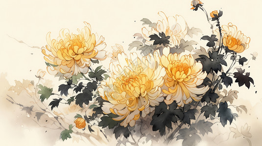 中国风水墨画卡通菊花背景图片