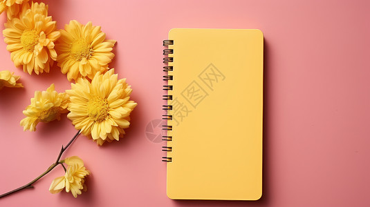 粉色黄色小花黄色小本子旁几朵黄色小花插画