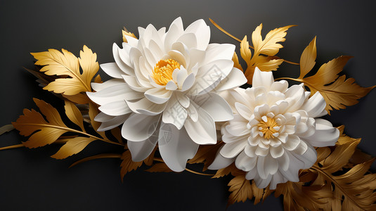 大朵盛开的白色菊花与金色的叶子图片
