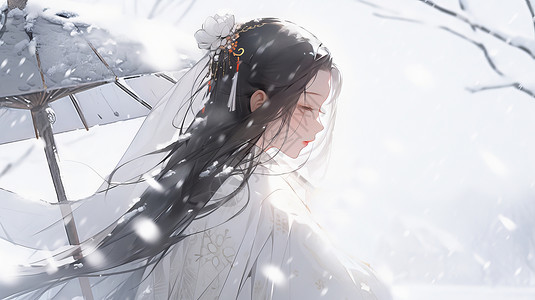 冬天在风雪中的优雅长发卡通女人插画