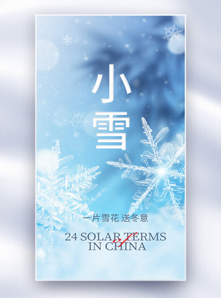小雪中国风梦幻小雪节气创意全屏海报模板
