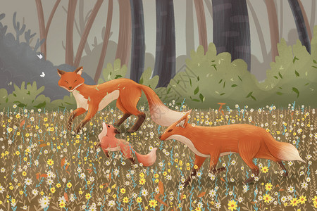 儿家庭幸福的狐狸一家三口在丛林中漫步插画