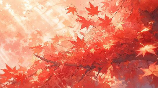 枫叶林素材阳光照在橙红色唯美的枫叶林插画