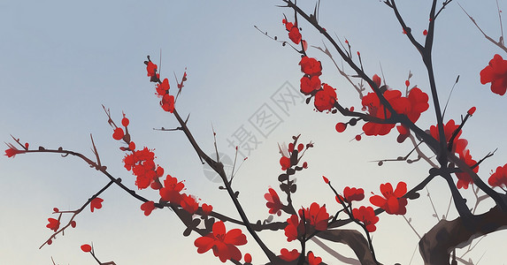 蓝天下树枝头盛开的红色卡通梅花背景图片