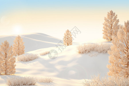 冬季雪地雪松场景背景图片