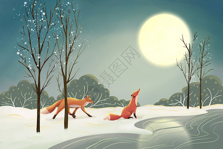 冬季大雪月亮下的狐狸高清图片