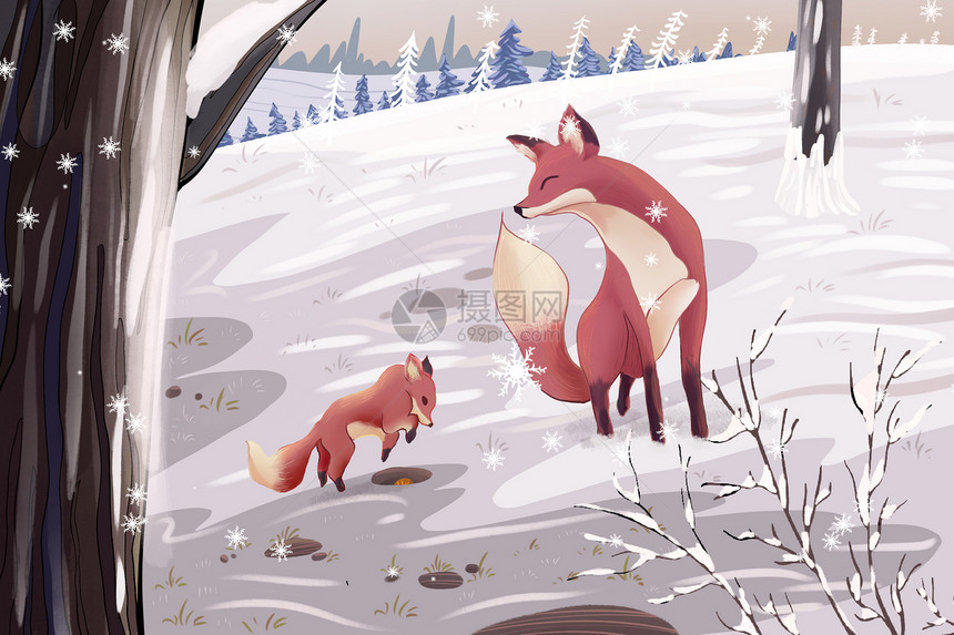 狐狸母子俩在雪地玩耍图片