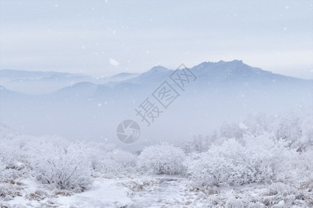 积雪素材雪山大寒海报GIF高清图片