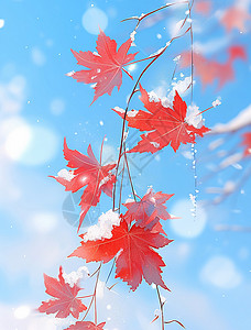霜冻过唯美漂亮的卡通红叶背景图片