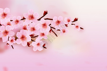 粉色桃花树林春天桃花背景设计图片