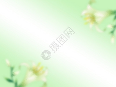 绿色花朵素材弥散风春天背景设计图片