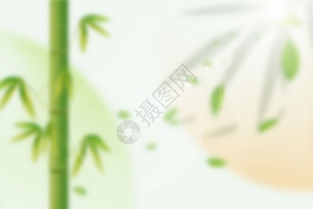 春天竹子背景背景图片