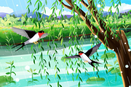 泰国的鸟春天植物柳树发芽燕子双飞GIF高清图片