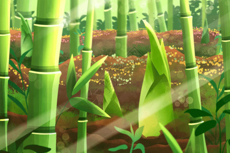 植物竹子素材春天阳光下竹林竹笋发芽GIF高清图片
