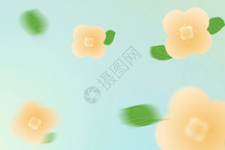 绿色黄色花朵春天花朵清新背景设计图片