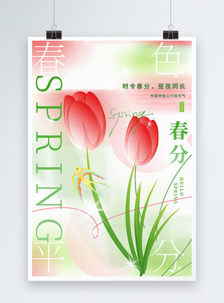 二十四节气花朵弥散风春分节气海报模板