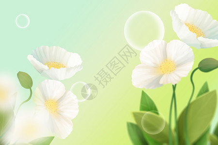 清新春天花朵背景背景图片