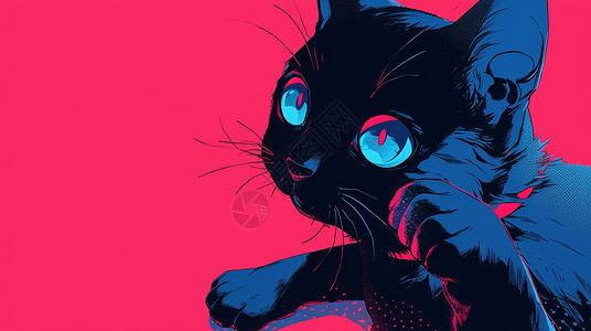 呆萌可爱的小黑猫高清图片