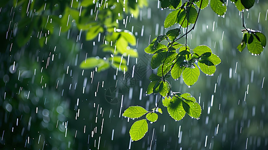 树叶雨滴春天下雨天插画