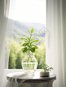 白色窗帘背景窗台上一瓶新鲜的卡通绿植插画