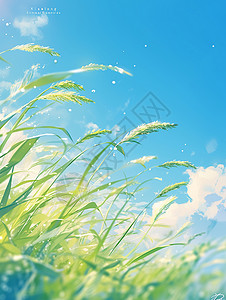 春天蓝天下一片草地背景图片