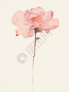 玫瑰花简约素材一朵粉色唯美的卡通花朵插画