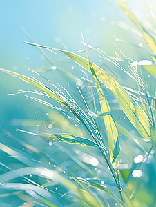 卡通水滴春天嫩绿色的草丛卡通背景插画