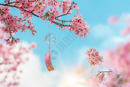 春天鲜花边框创意蓝色樱花背景设计图片