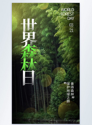 竹林小路绿色自然世界森林日摄影图海报模板