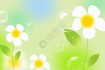 清新白色小花春天花朵背景设计图片