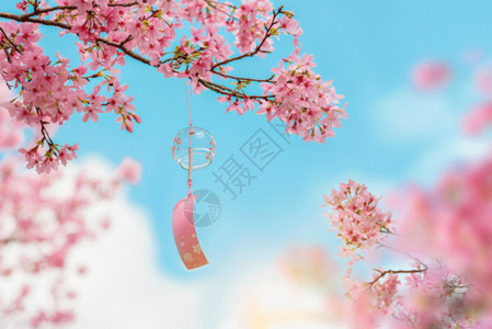 春天里的樱花创意蓝色樱花GIF高清图片