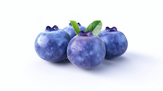 巴西果蓝莓水果插画