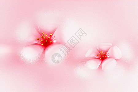 樱花开了玻璃风赏花背景设计图片